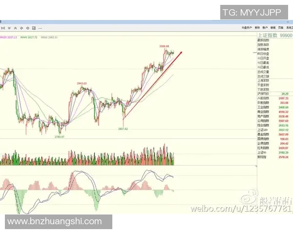深入分析北京网球队防守策略与战术特点的专业解读