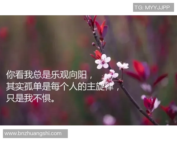 足球明星退役后倾情演绎的音乐之旅与人生感悟 足球明星退役后倾情演绎的音乐之旅与人生感悟